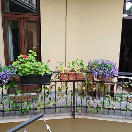 La Terrazzina, Silenzioso, Zona Piazza Gran Madre Daire Torino Dış mekan fotoğraf